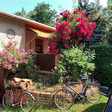 Gruener Bungalow Am Kiebitzsee Villa Falkenburg Exteriör bild