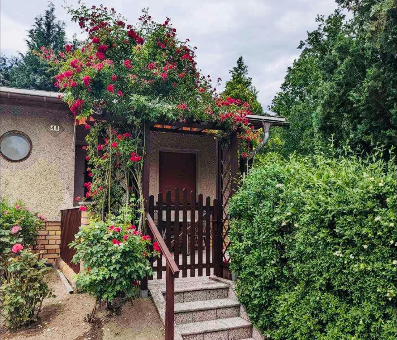 Gruener Bungalow Am Kiebitzsee Villa Falkenburg Exteriör bild