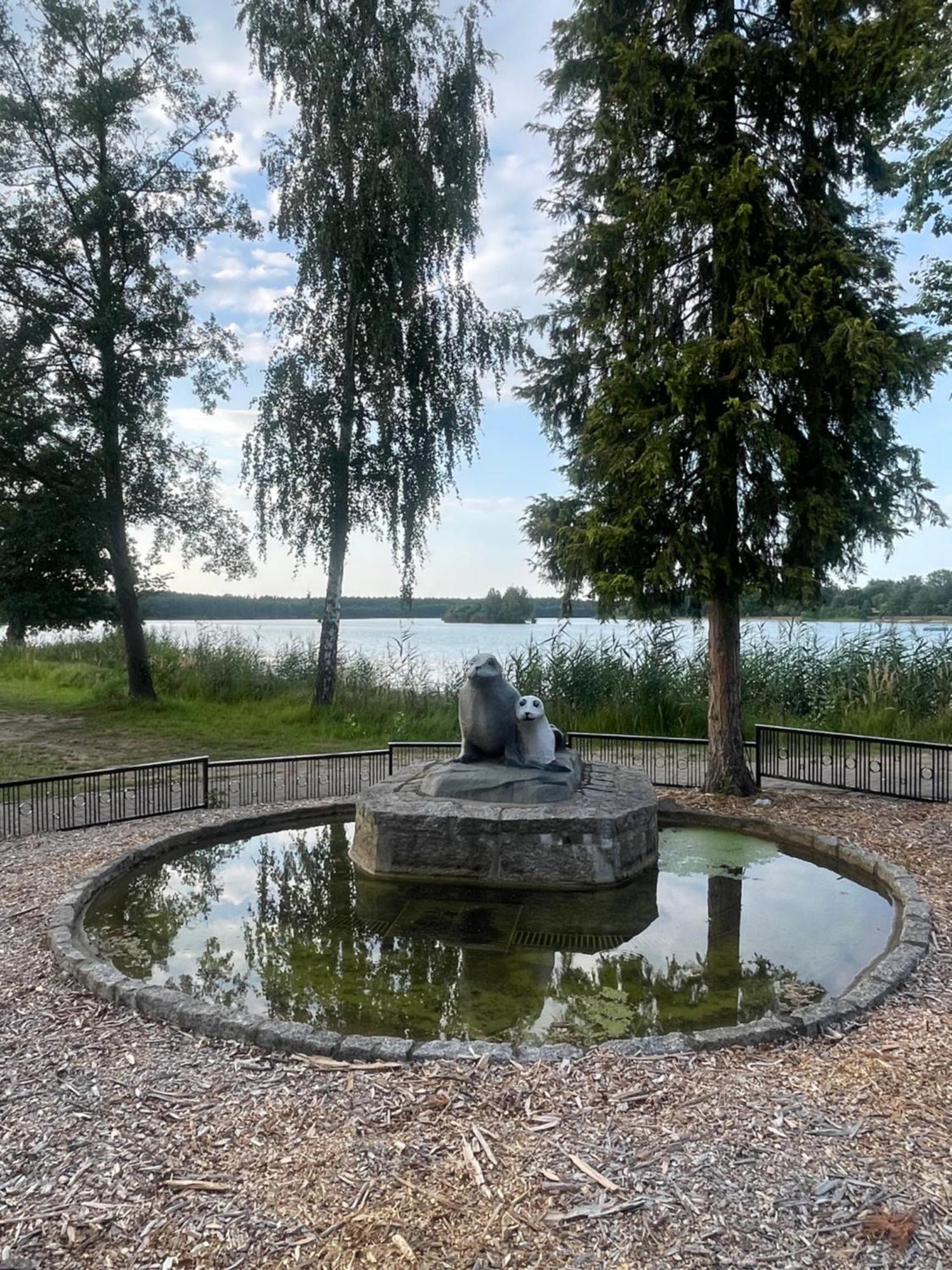 Gruener Bungalow Am Kiebitzsee Villa Falkenburg Exteriör bild